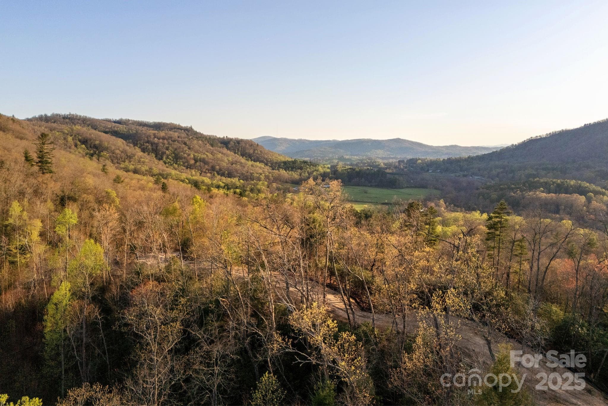 Lot at Lot # 1 Masterpiece View Drive, Hendersonville, photo 26 of 43