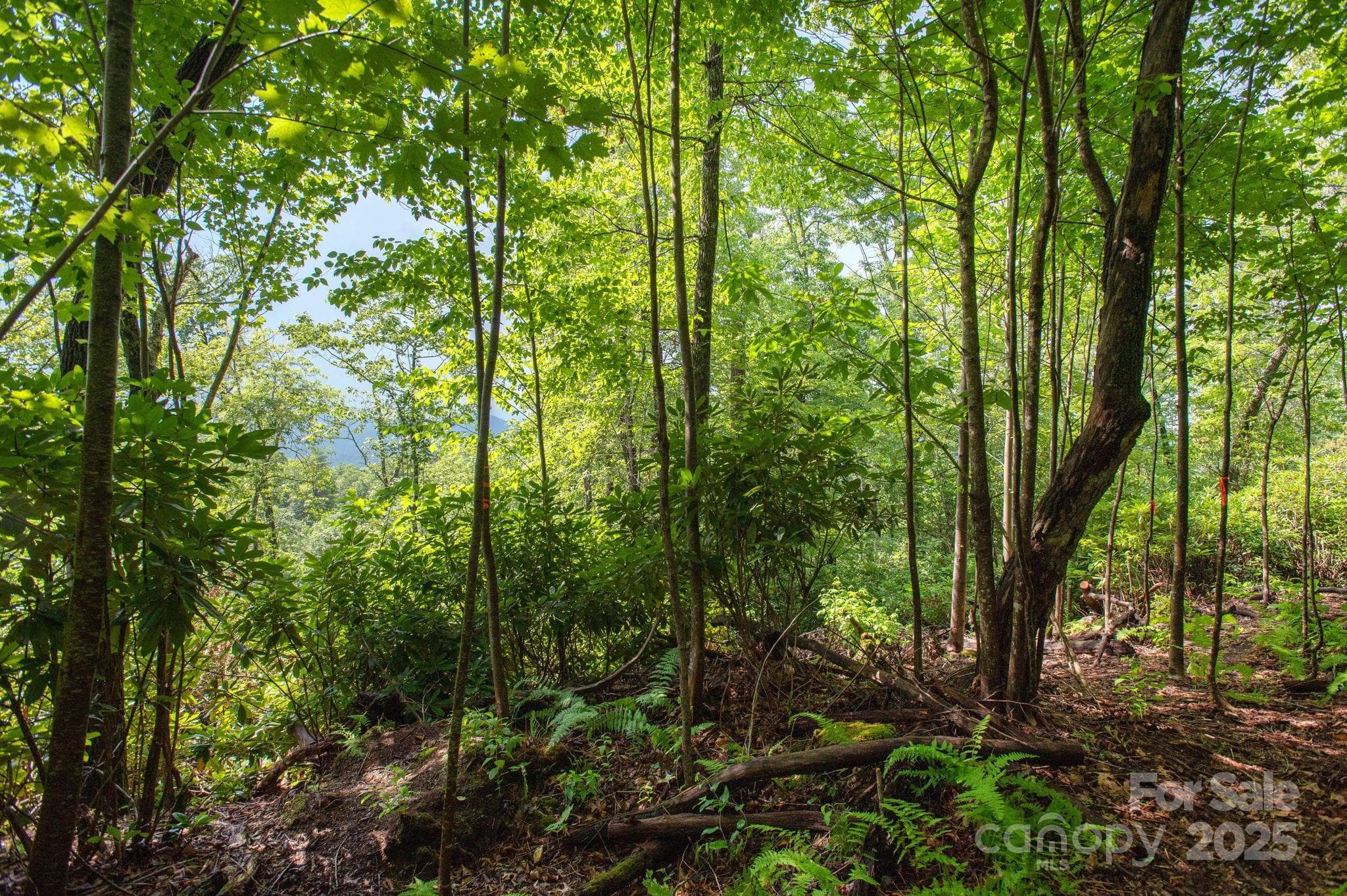 Lot at Lot # 2 Masterpiece View Drive, Hendersonville, photo 4 of 39