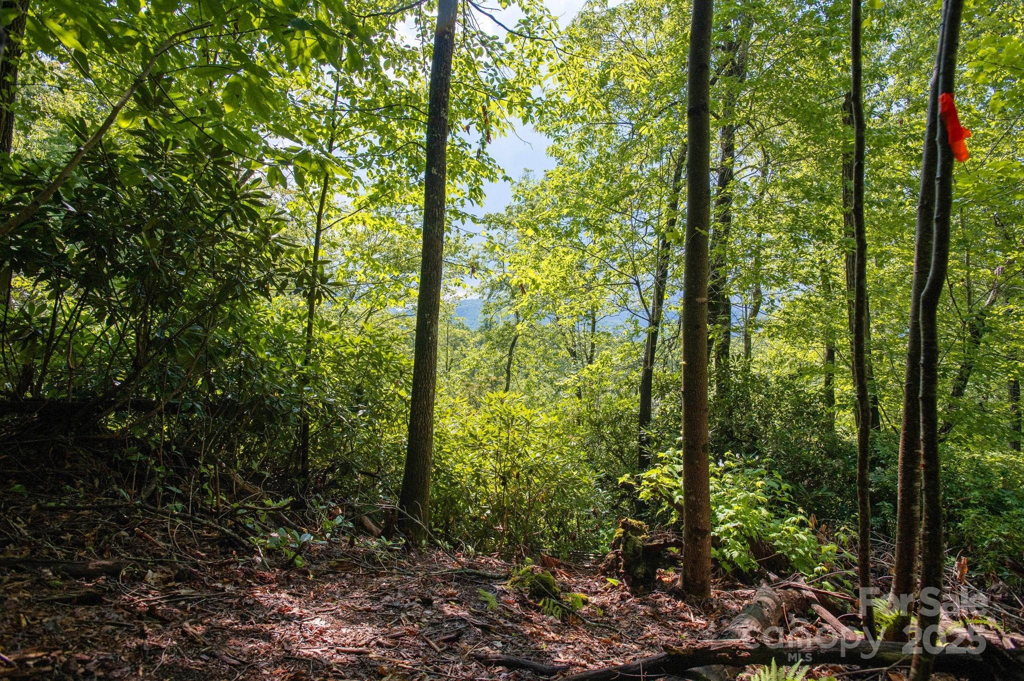 Lot at Lot # 2 Masterpiece View Drive, Hendersonville, photo 5 of 39