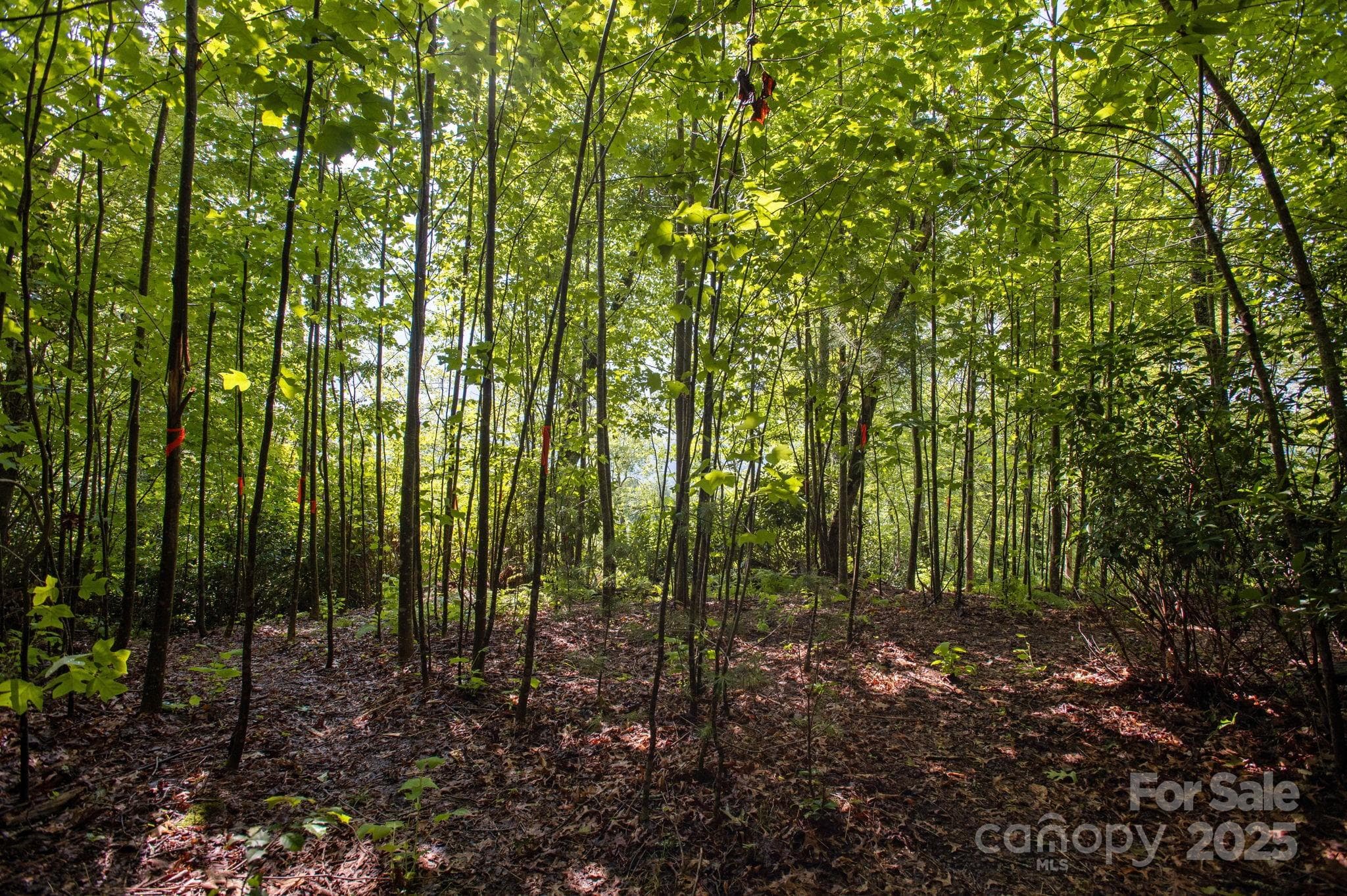 Lot at Lot # 2 Masterpiece View Drive, Hendersonville, photo 6 of 39