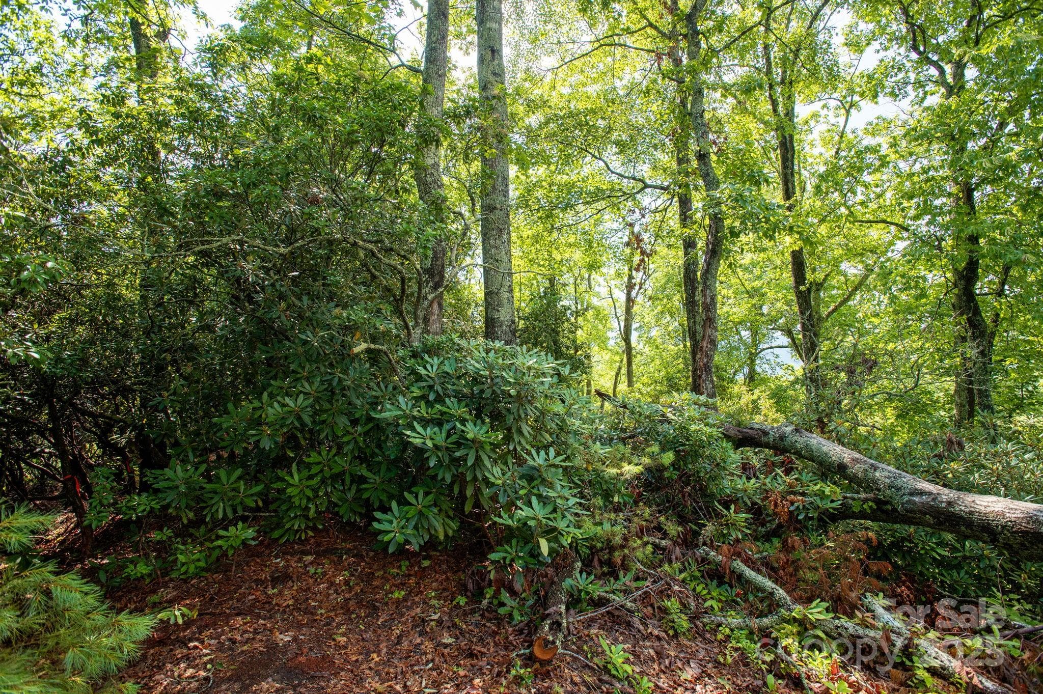 Lot at Lot # 2 Masterpiece View Drive, Hendersonville, photo 7 of 39
