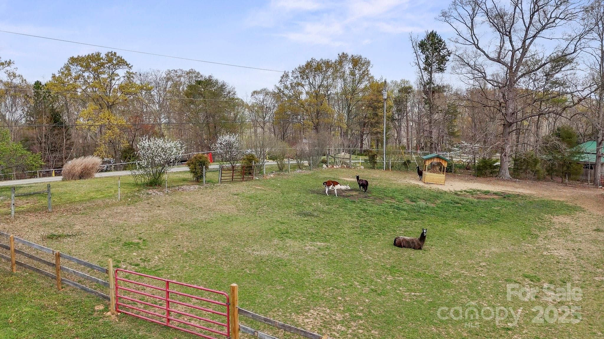 Great grazing area for barn animals. - Mooresville