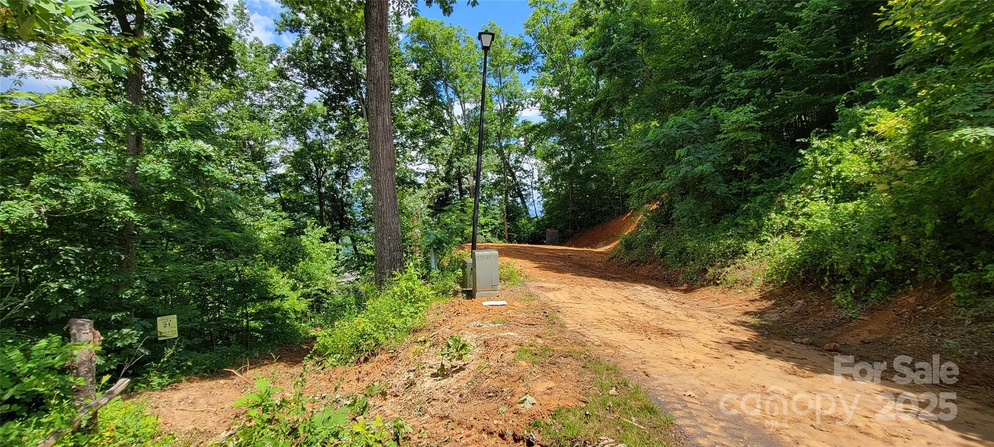 Recently rough grade driveway &  homesite - Waynesville