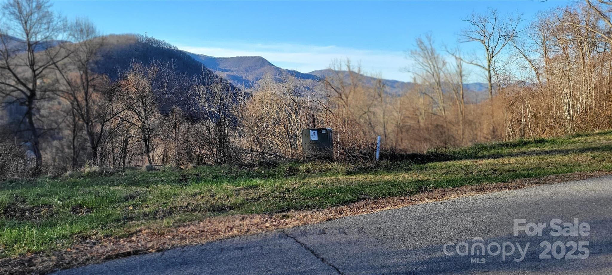 Wide paved Subd Streets & Mtn Views - Waynesville