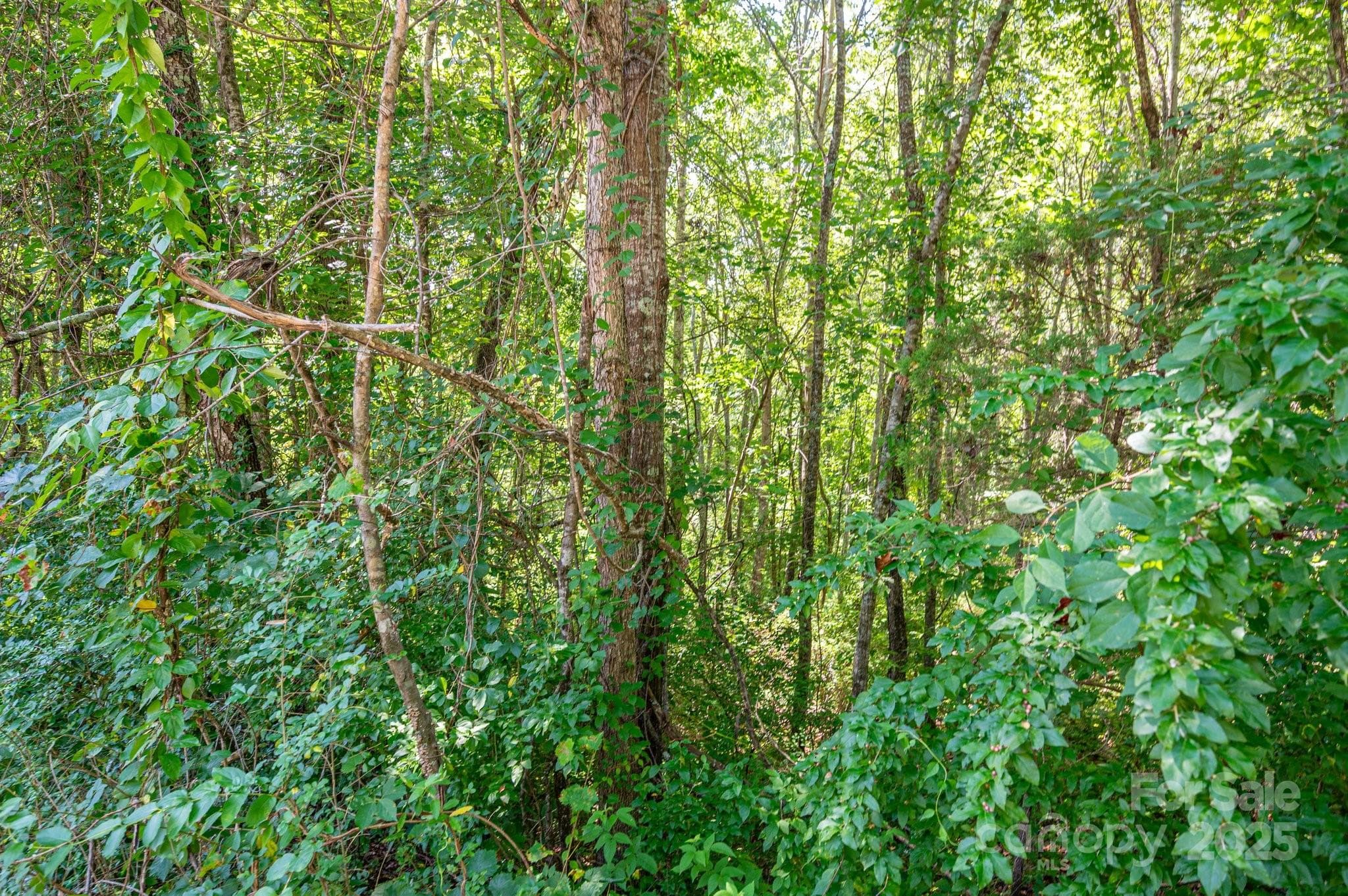 Lot at Lot # 16 Meadow Crossing Drive, Rutherfordton, photo 2 of 13