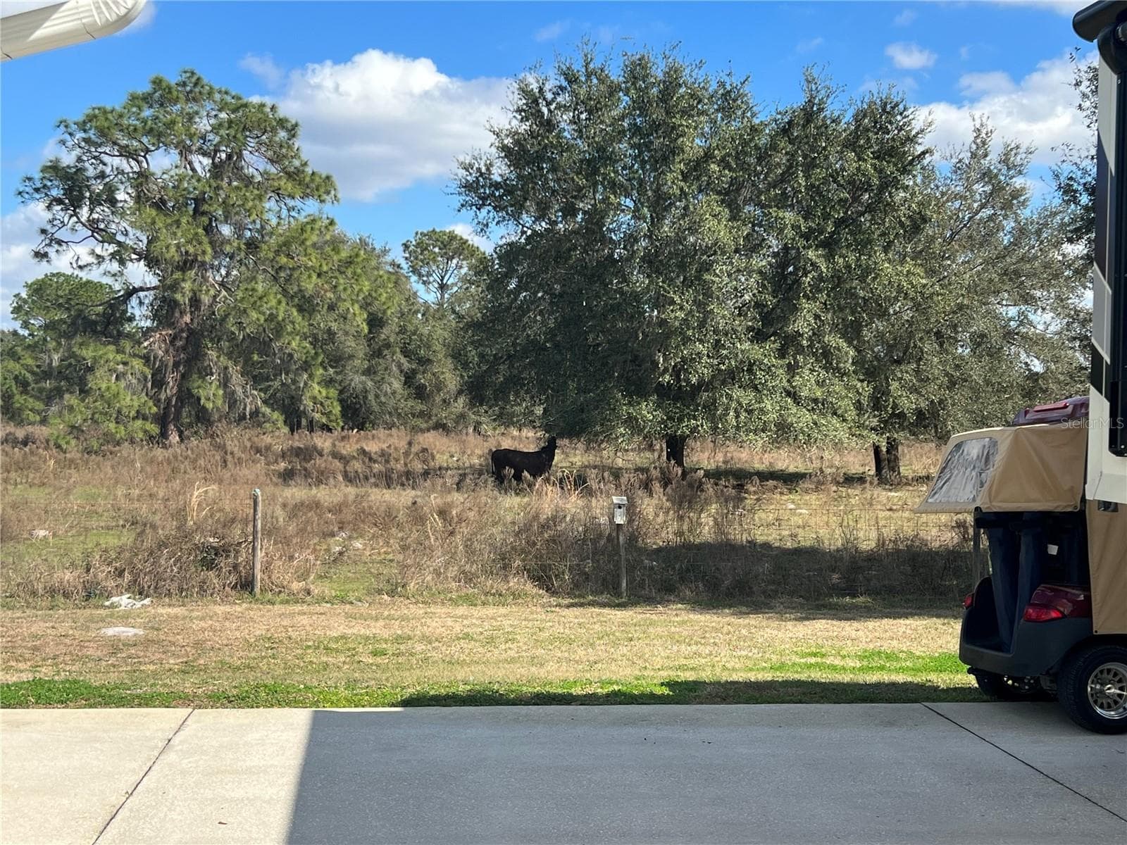 Land at 9573 SE 49TH TER, WEBSTER, photo 11 of 37