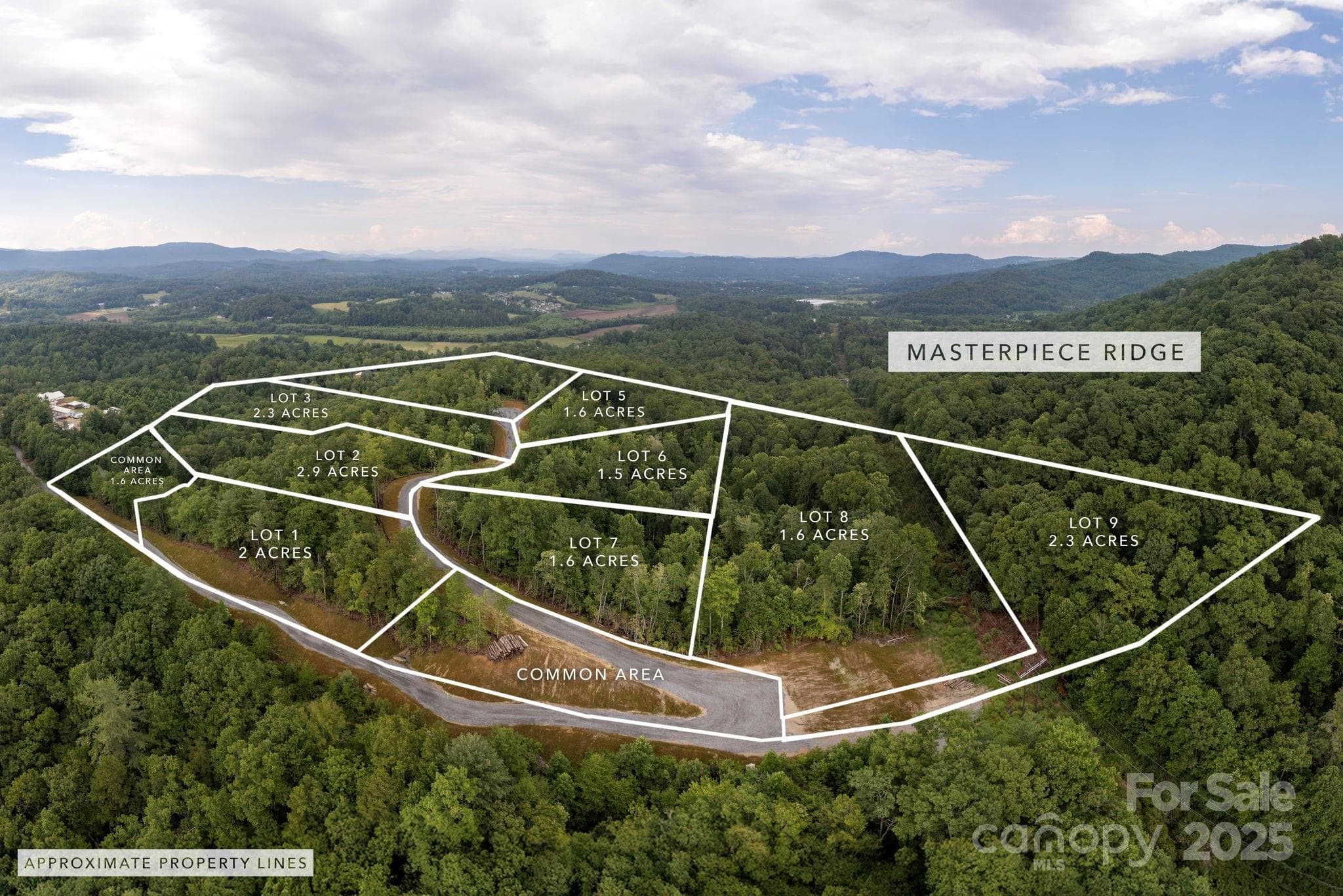 Lot at Lot # 5 Masterpiece View Drive, Hendersonville, photo 2 of 30