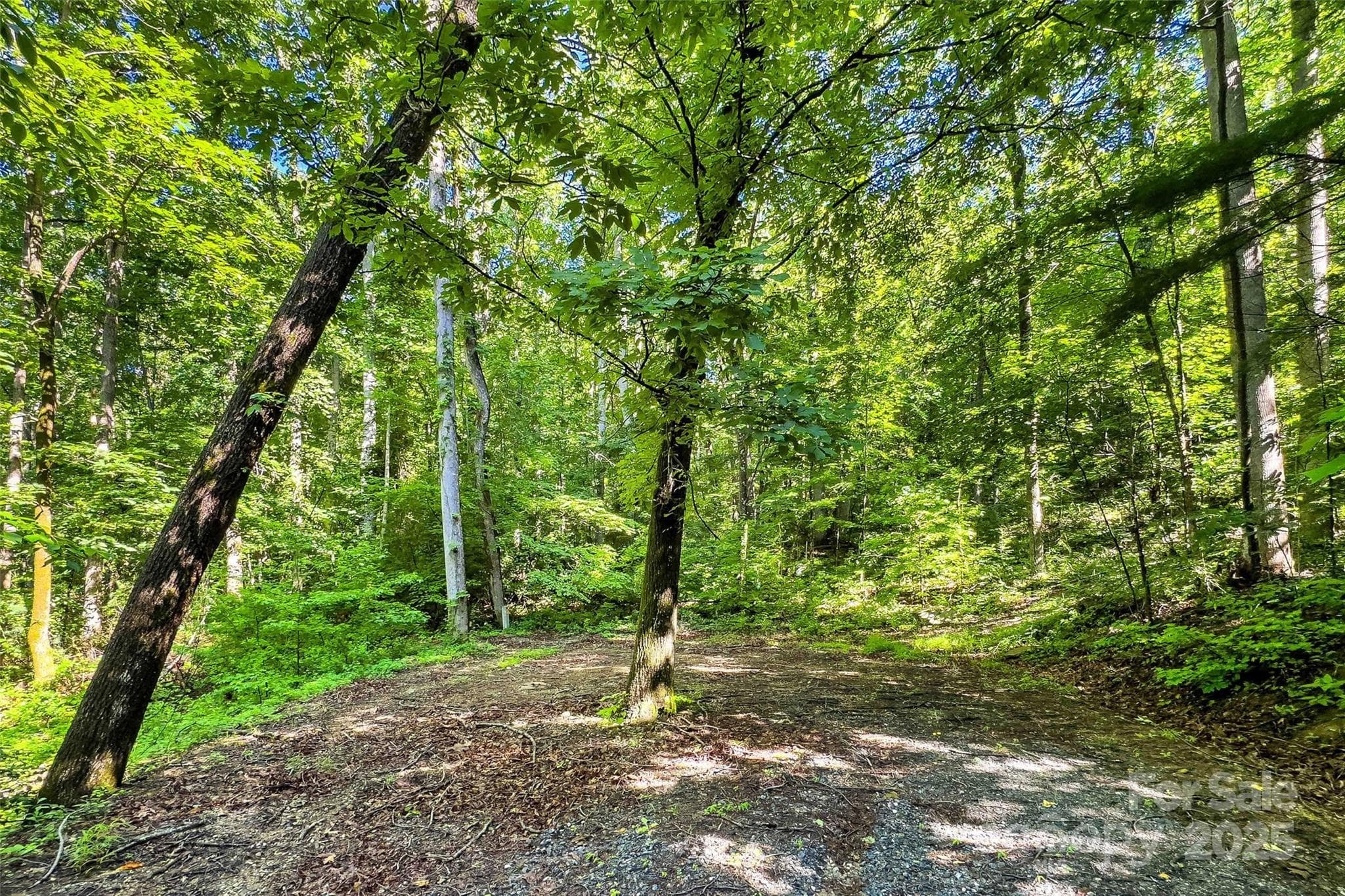 Lot at Lot # 77 Hunnicut Spur Road, Marion, photo 4 of 28
