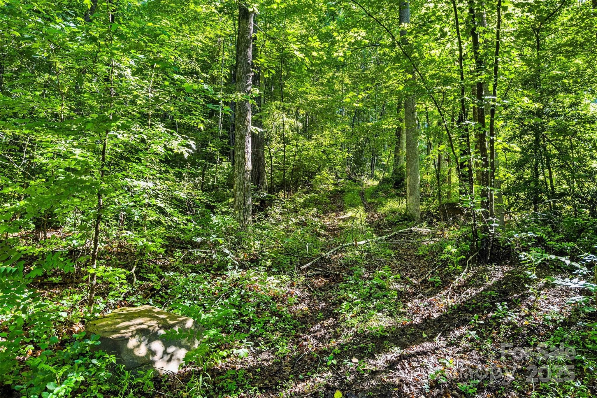 Lot at Lot # 77 Hunnicut Spur Road, Marion, photo 8 of 28