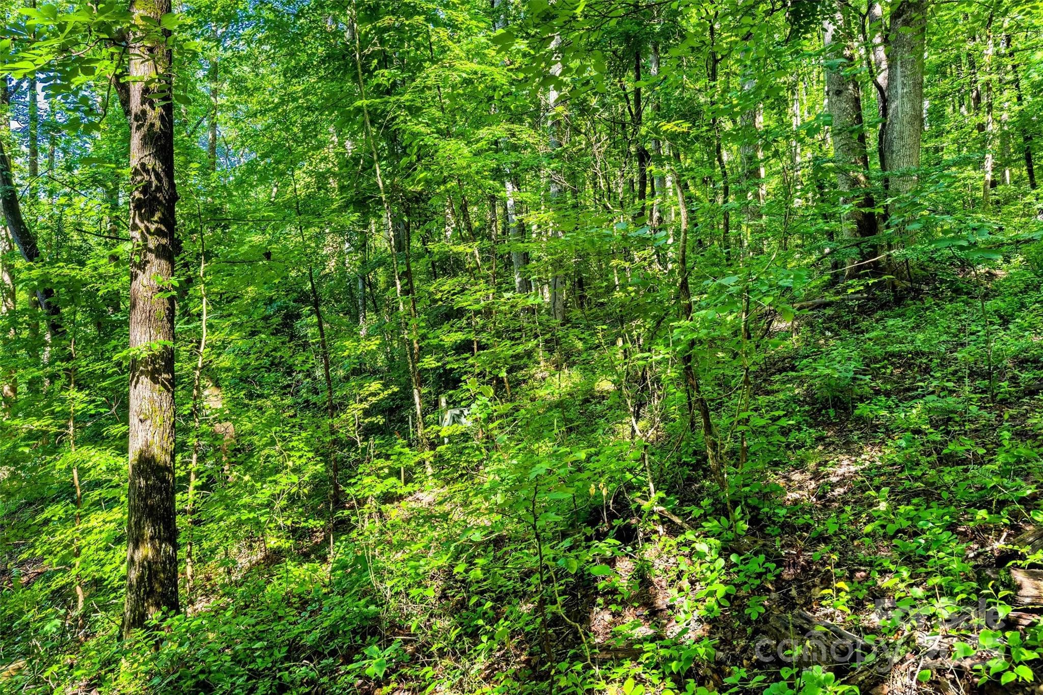 Lot at Lot # 77 Hunnicut Spur Road, Marion, photo 9 of 28