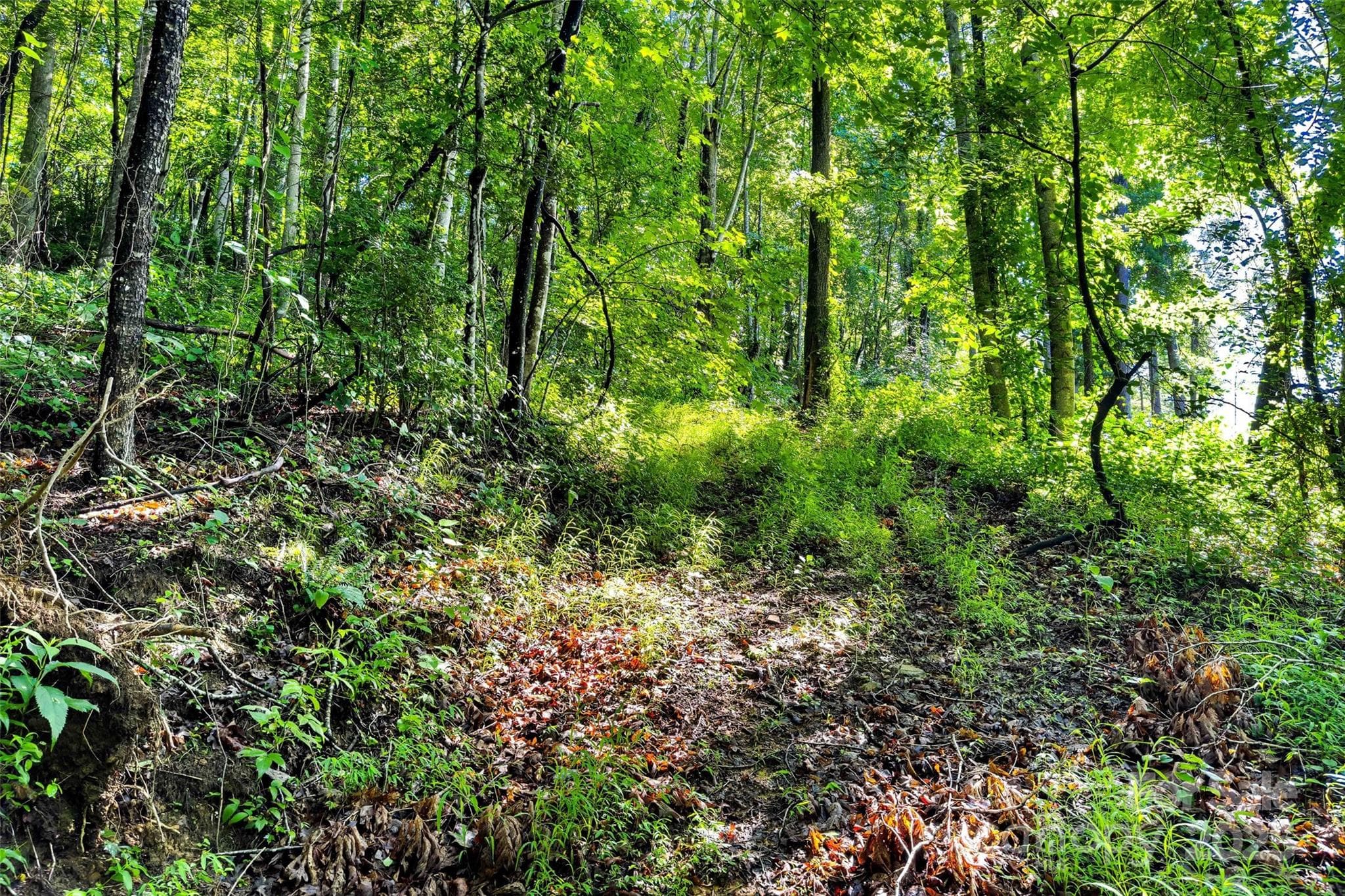 Lot at Lot # 77 Hunnicut Spur Road, Marion, photo 10 of 28