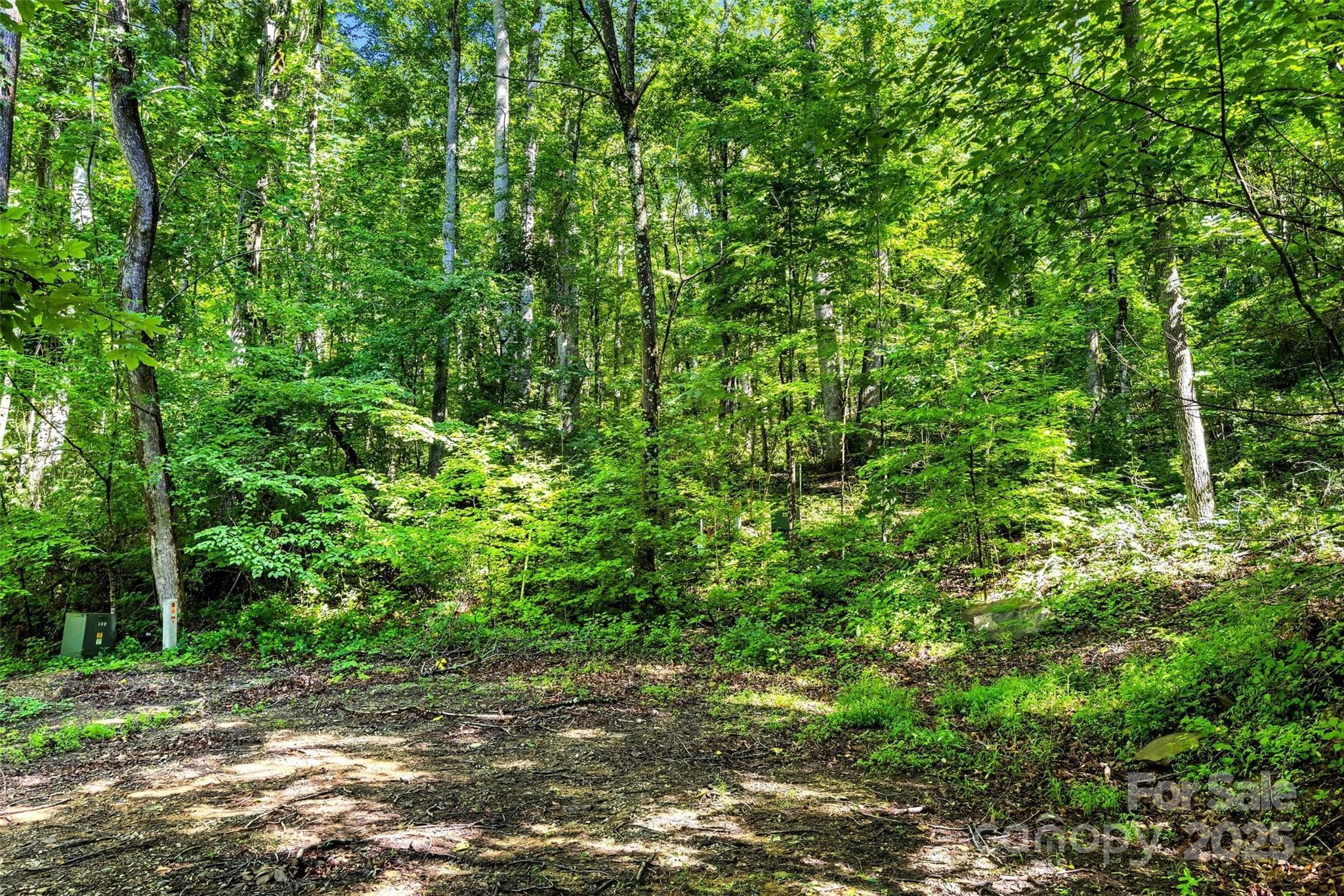 Lot at Lot # 77 Hunnicut Spur Road, Marion, photo 12 of 28