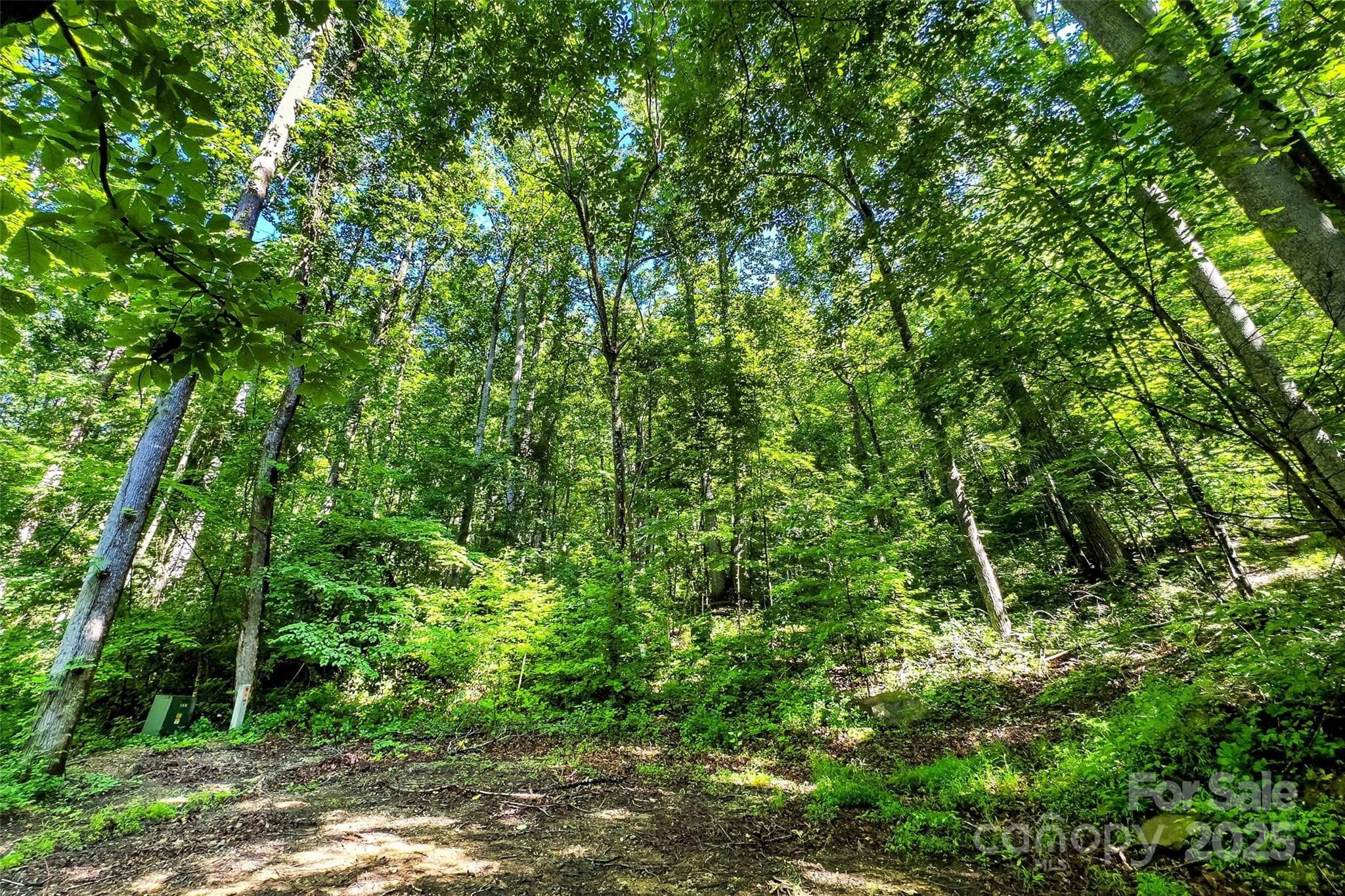 Lot at Lot # 77 Hunnicut Spur Road, Marion, photo 13 of 28