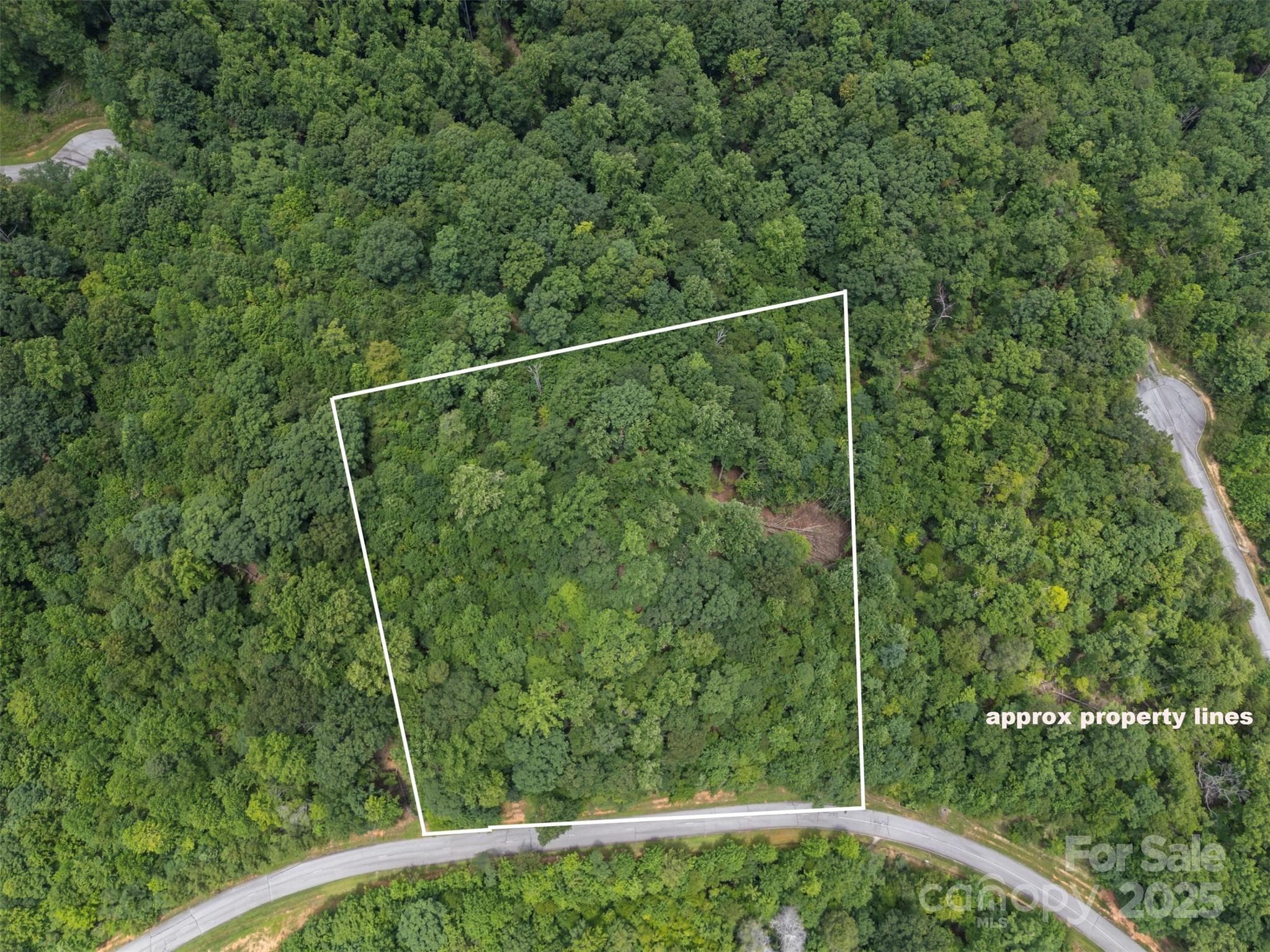 Lot at Mill Spring, photo 2 of 13