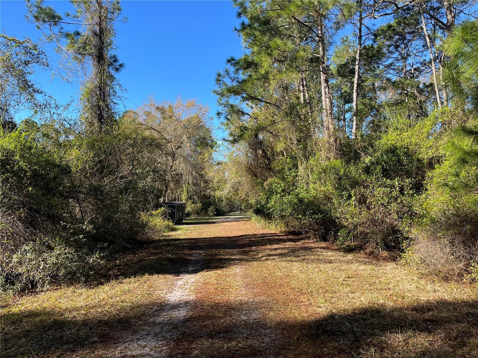 Land at 208 SE 3RD ST, GEORGETOWN, photo 4 of 5