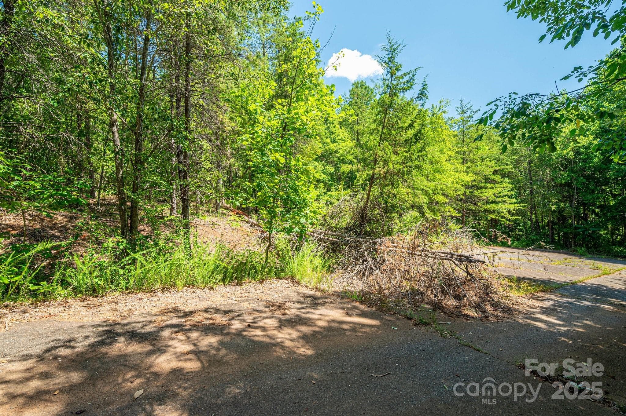 Lot at 0 Meadow Crossing Drive, Rutherfordton, photo 3 of 22