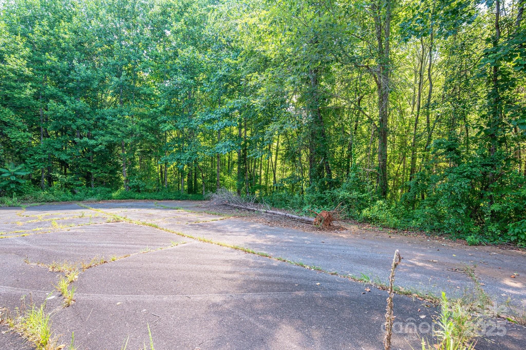 Lot at 0 Meadow Crossing Drive, Rutherfordton, photo 4 of 22