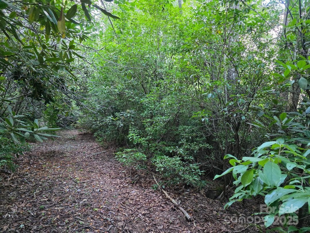 LOT 2 Pine Ridge Road