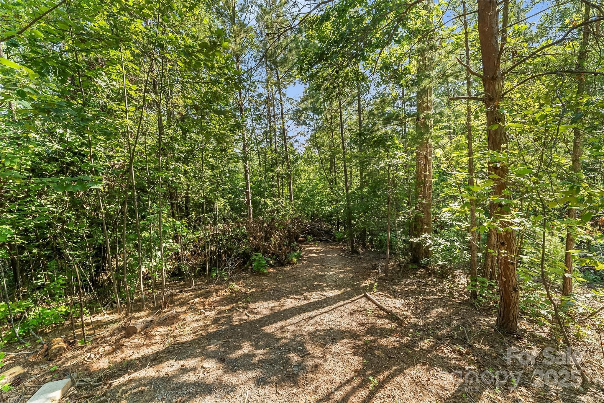 Lot at Nebo, photo 5 of 17