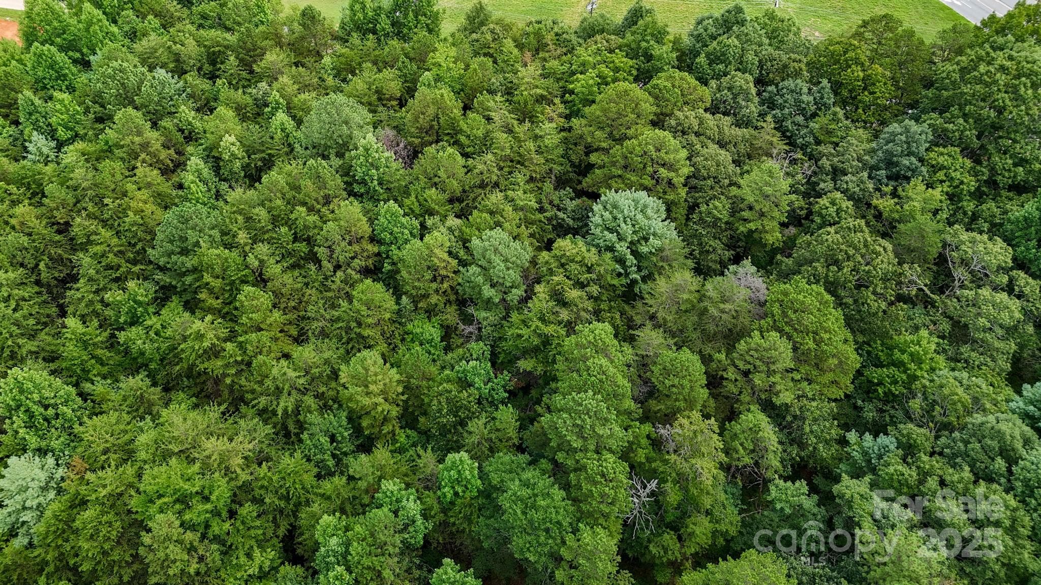 Unimproved Commercial at 00 Kool Park Road NE, Hickory, photo 12 of 18