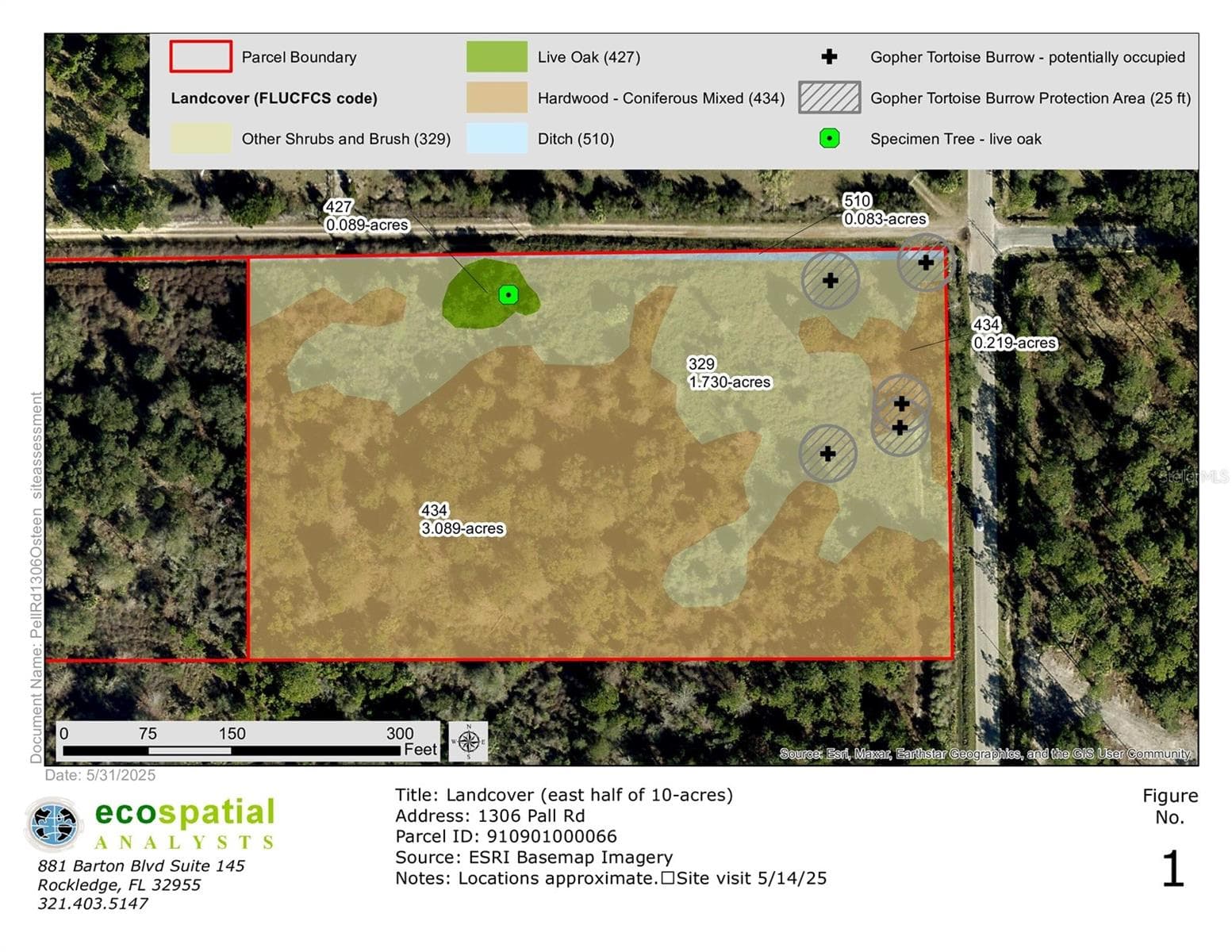 Land at 1306 PELL RD, OSTEEN, photo 2 of 4