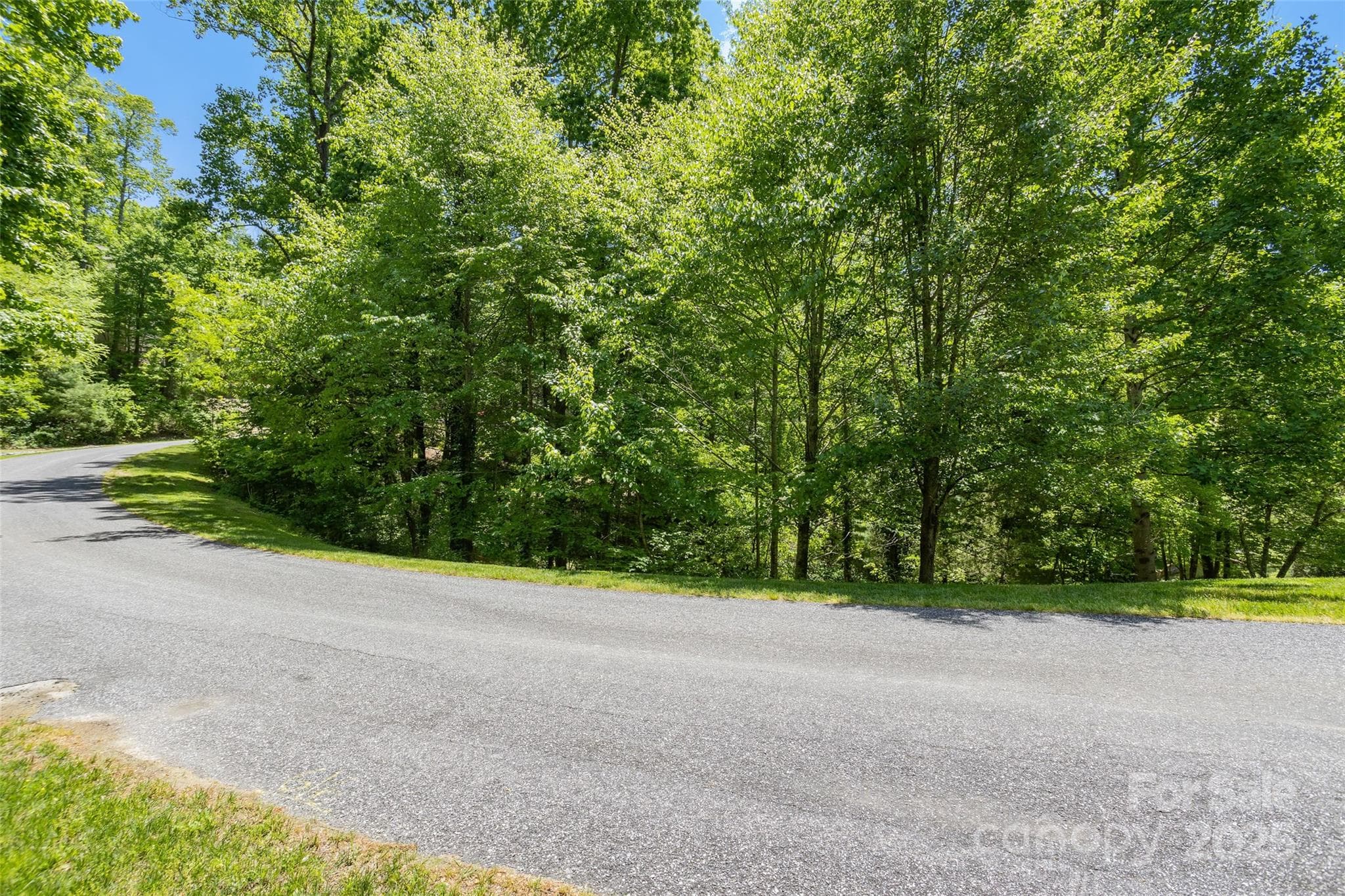 Lot at Hendersonville, photo 11 of 16