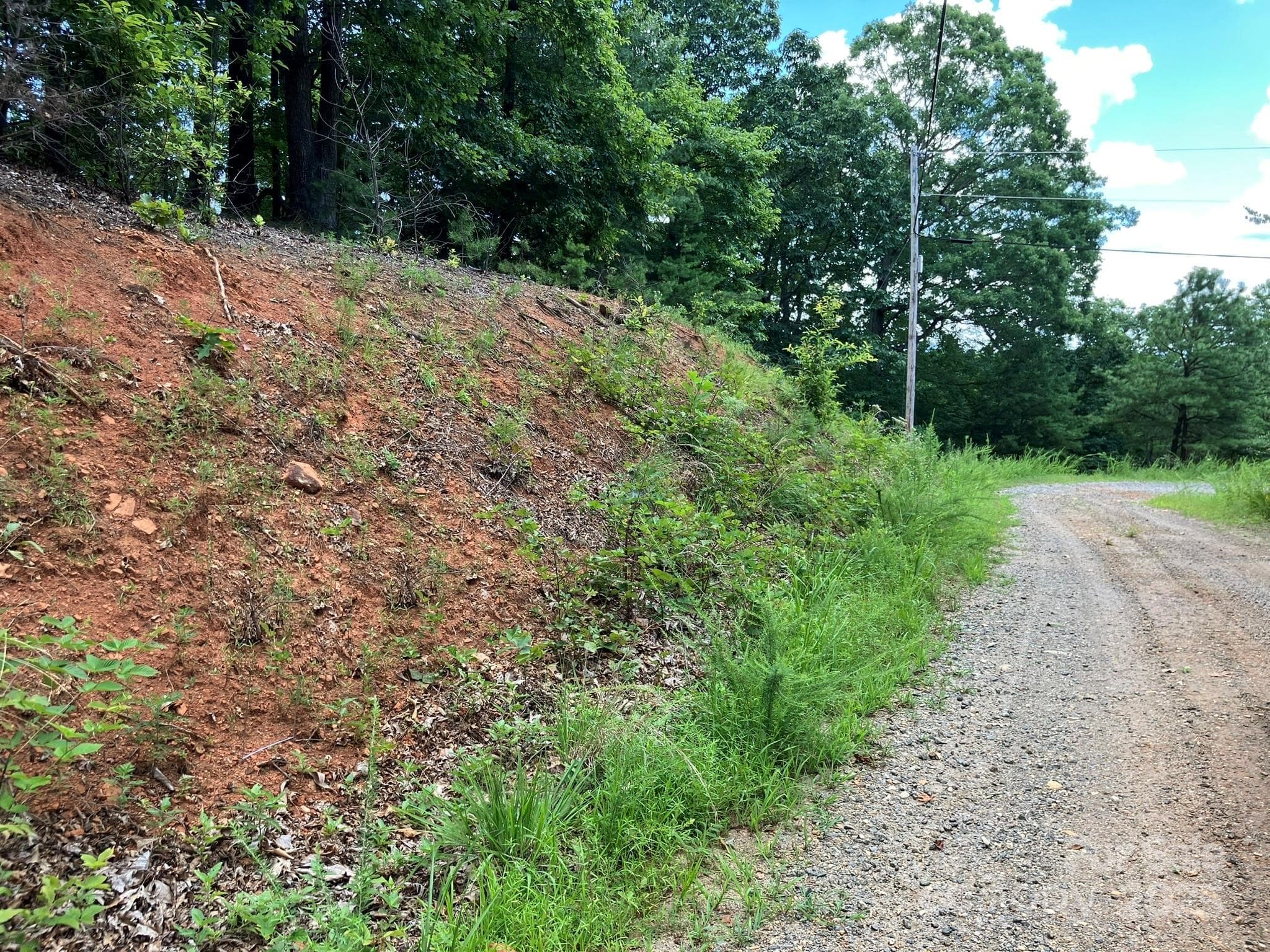 Lot at 00 Roberts Trail, Lake Lure, photo 3 of 5