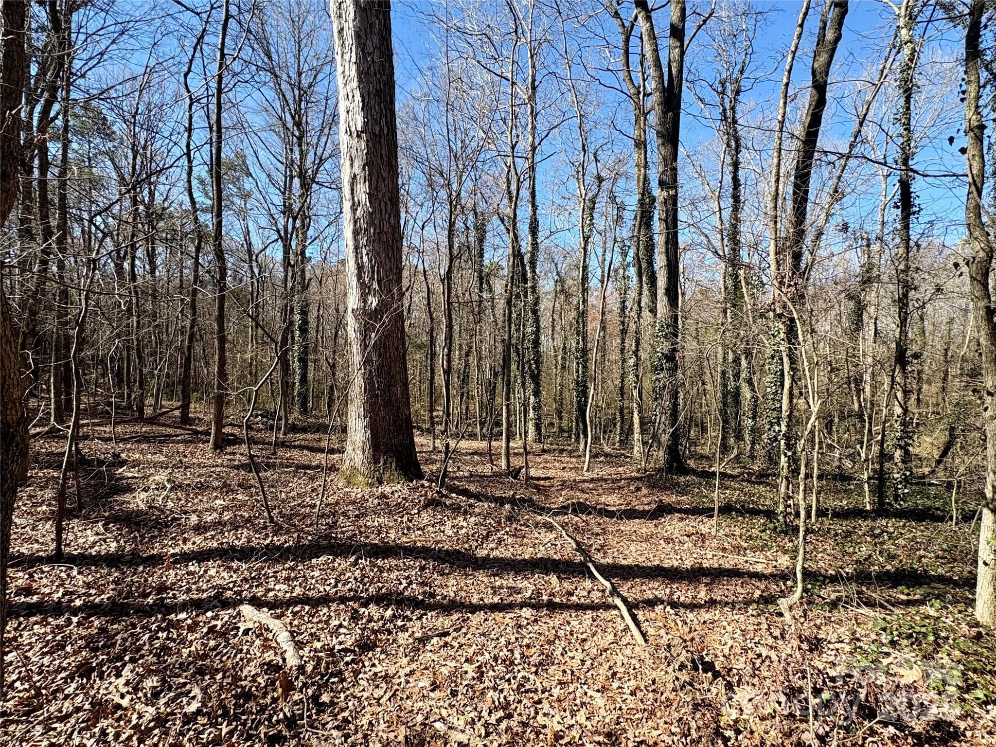 Lot at 1417 Ellis Griffin Road, Wingate, photo 2 of 9