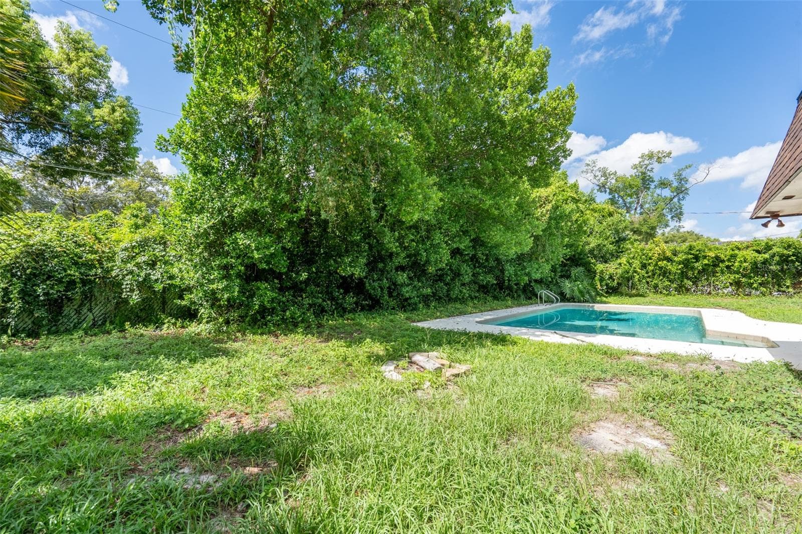 Backyard - 806 HIGHLAND DR, ALTAMONTE SPRINGS