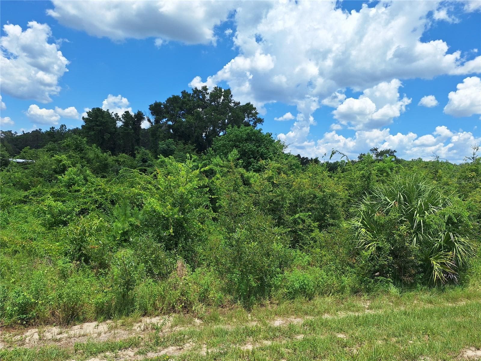 Land at TBD SE HWY. 19, OLD TOWN, photo 3 of 9