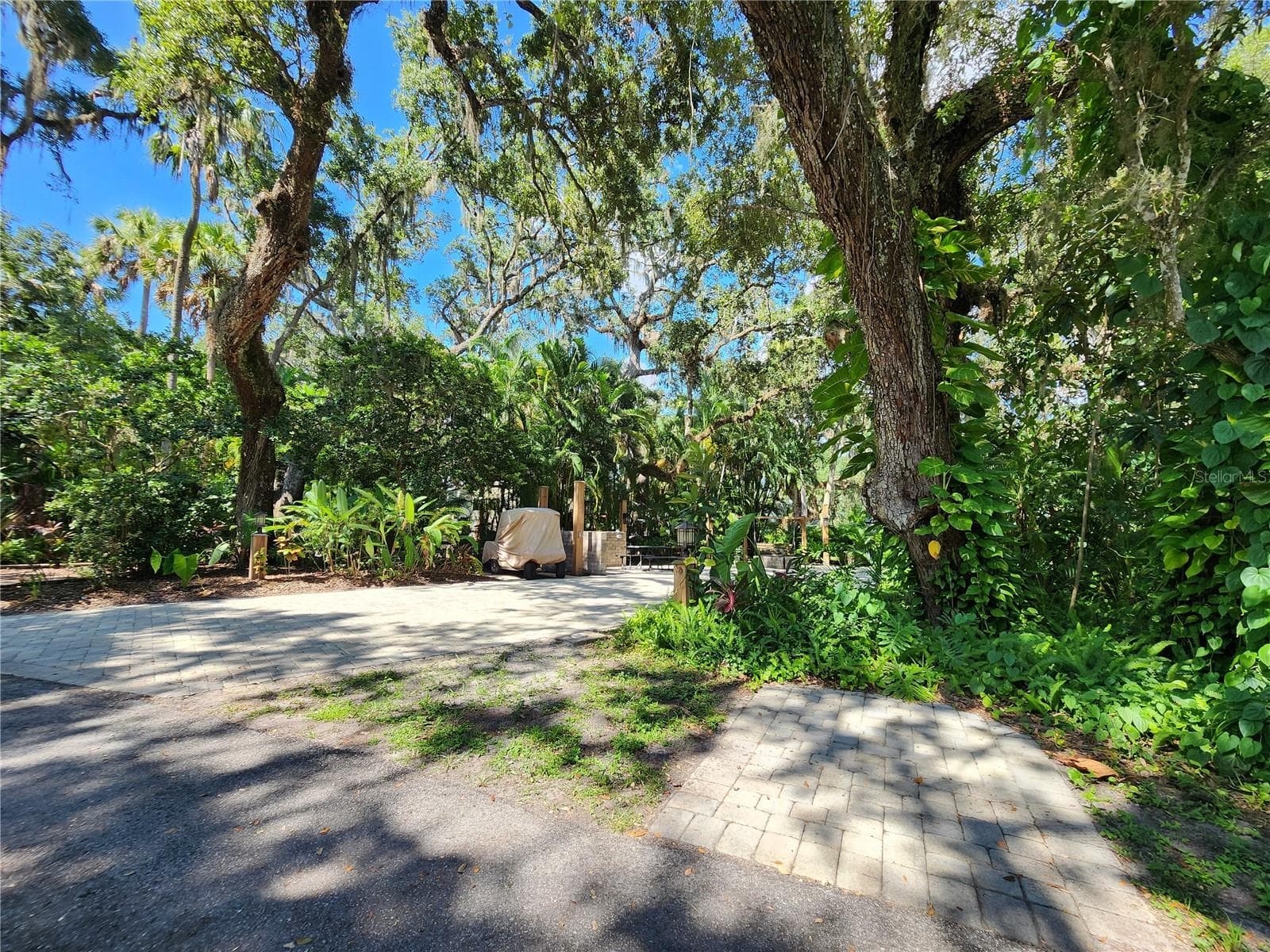 316 ROAN (GATOR ALLEY) RD