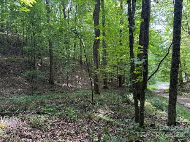 Lot at Burnsville, photo 2 of 3