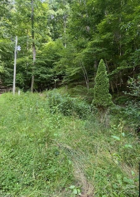 Lot at Burnsville, photo 3 of 3