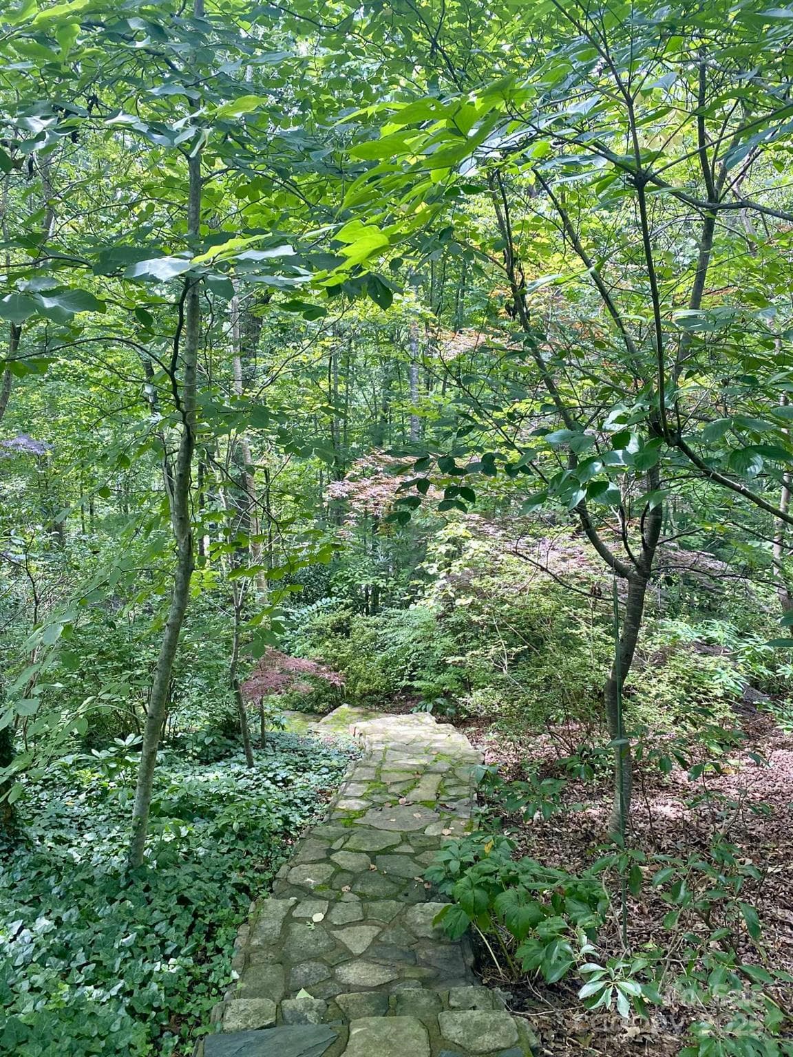 Pathway leading to office building. - 163 Gypsy Mountain Road, Marion