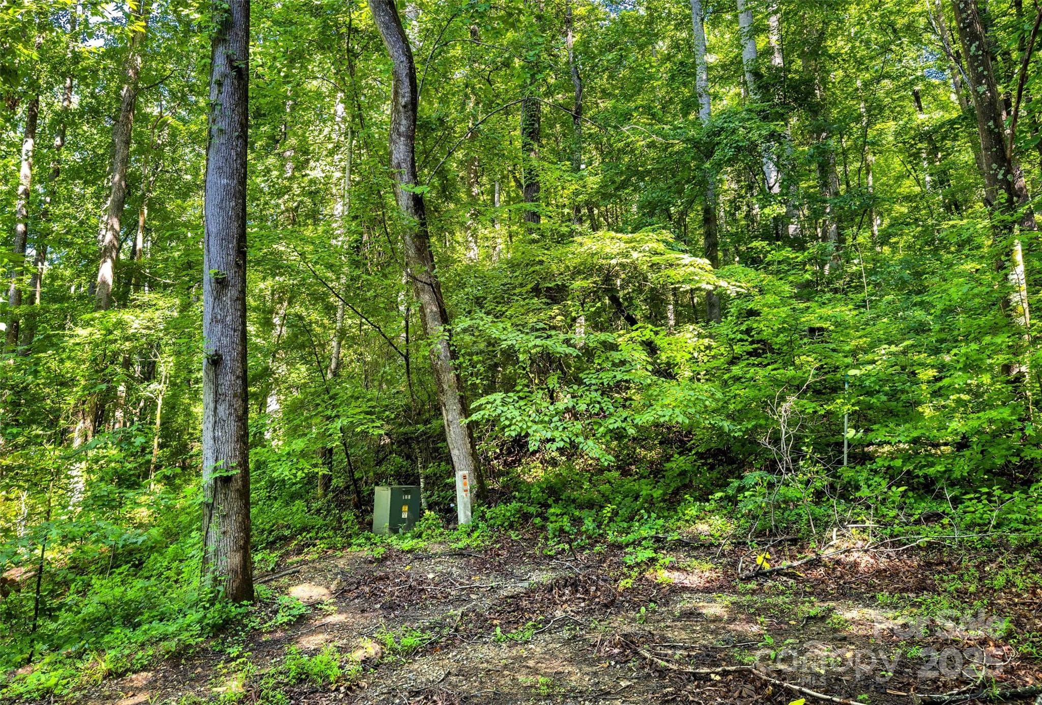 Lot at Lot #76 Hunnicut Spur Road, Marion, photo 5 of 28