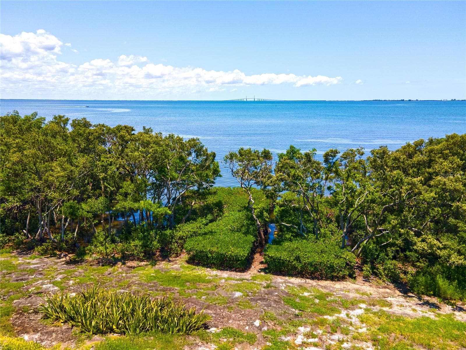 Waterfront Park areas near property - 1125L FRIENDLY WAY S, ST PETERSBURG