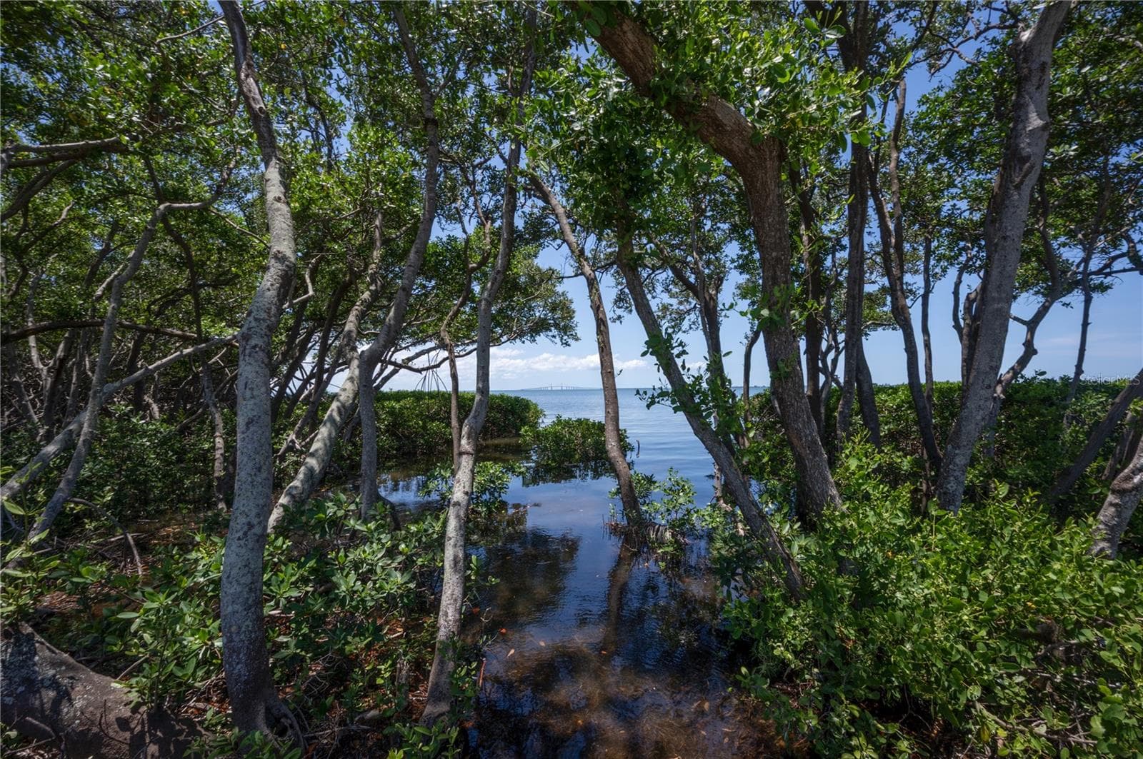 Gorgeous waterfront areas to enjoy - 1125L FRIENDLY WAY S, ST PETERSBURG