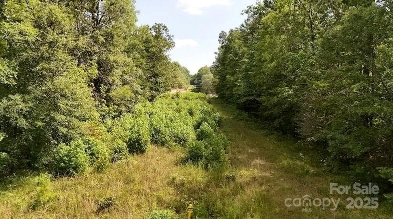 Acreage at 00 Blue Branch Road, Gaffney, photo 4 of 11