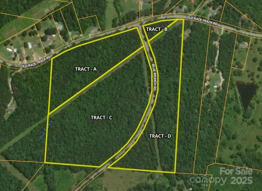 Entire 50+- acres - 00 Blue Branch Road, Gaffney