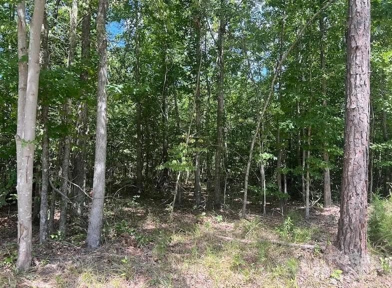 Acreage at 00 Blue Branch Road, Gaffney, photo 3 of 13