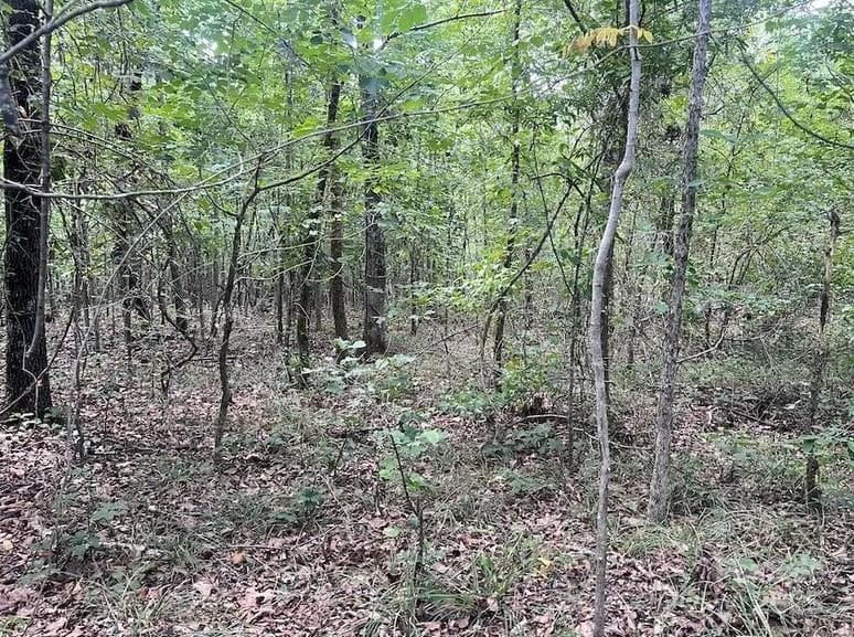 Acreage at 00 Blue Branch Road, Gaffney, photo 4 of 13