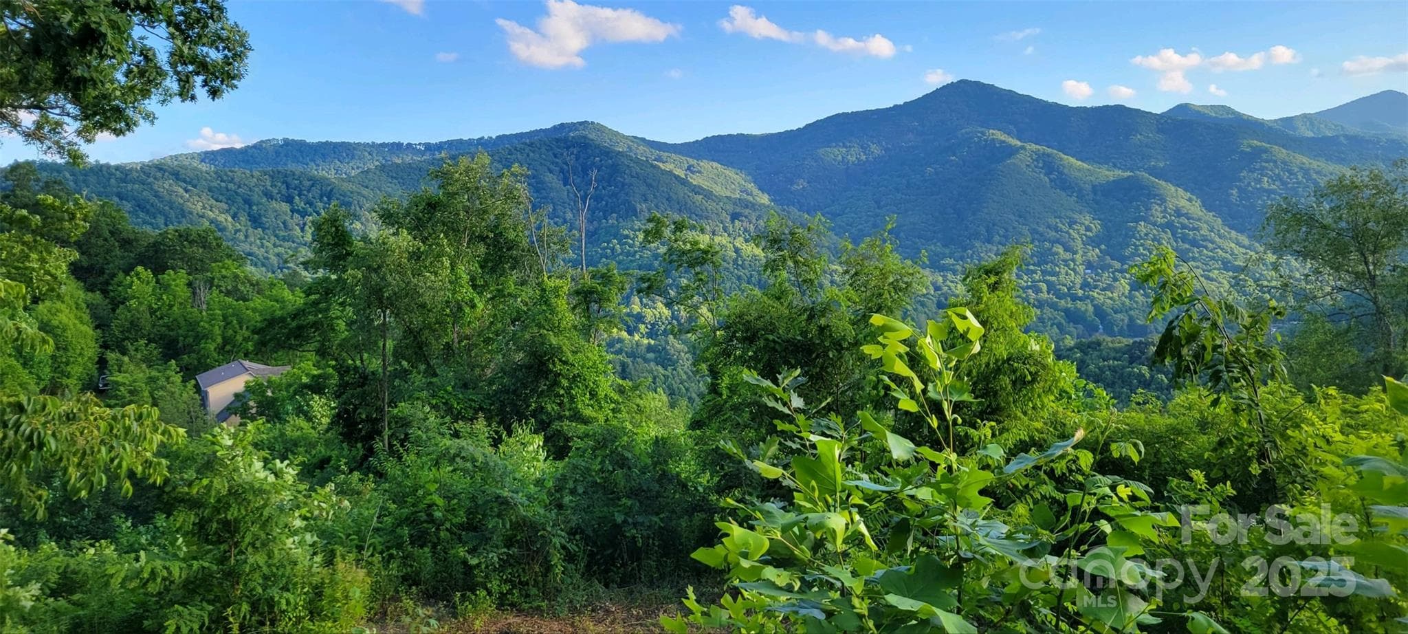 Potential SE View - Pic taken from adjacent lot #28 - Waynesville