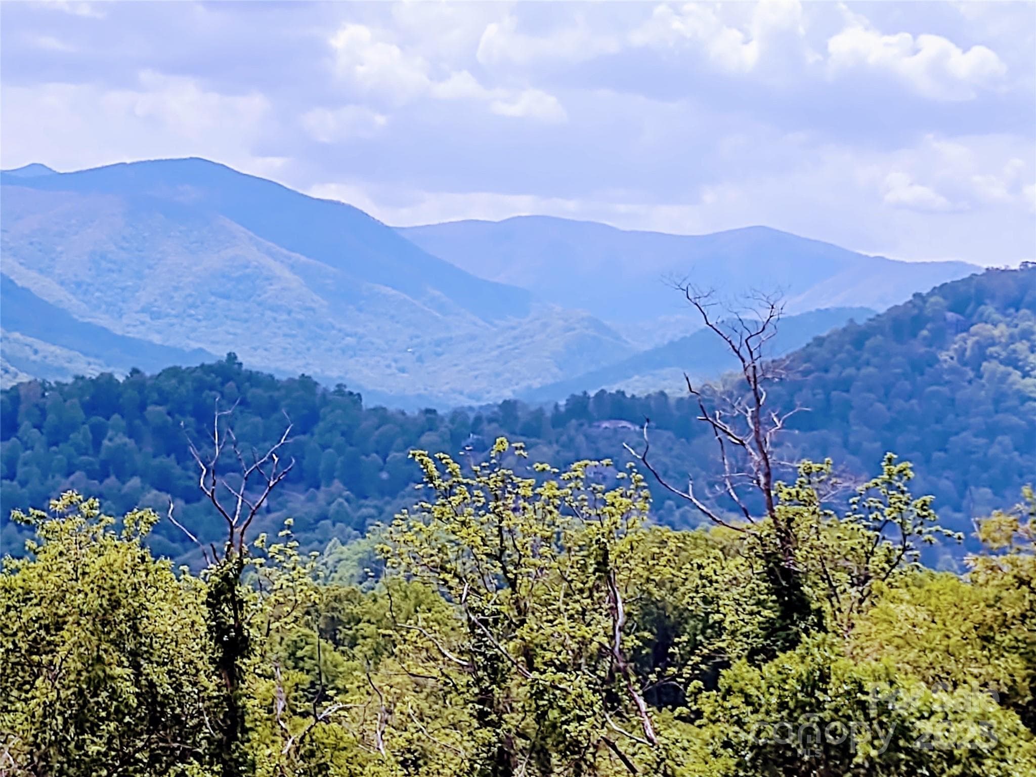 Potential Southern View - pic taken f/adjacent excavated Lot 28 - Waynesville