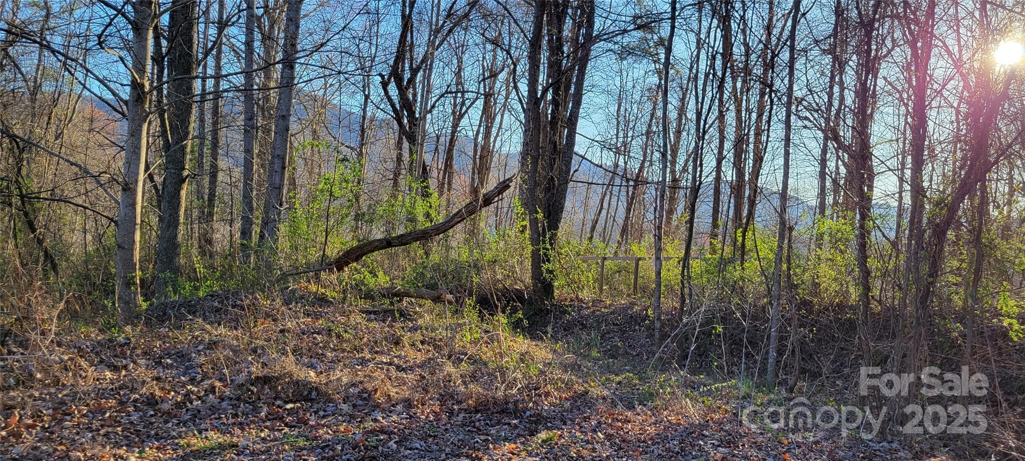 Potential Mtn View from Lot 42 with tree trimming/cutting - Waynesville