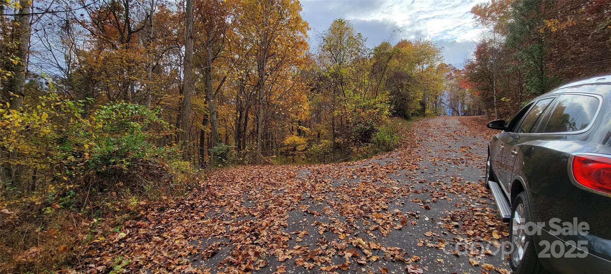 Paved driveway entry that splits Lot 40 & 42 off Rons Ridge Rd - Waynesville