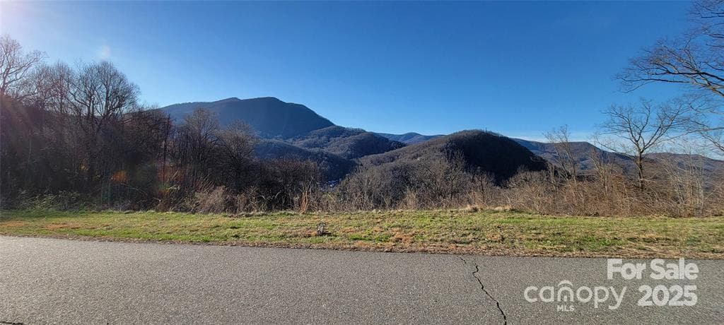 Lot at Waynesville, photo 3 of 6