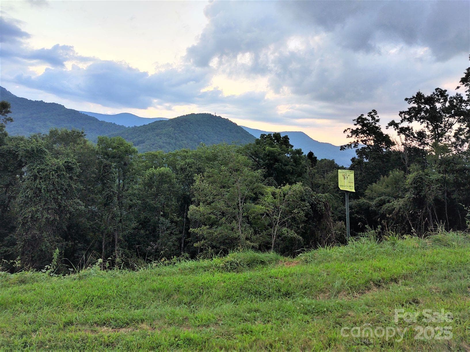 City sewer & shared well with long-range mtn View - Waynesville