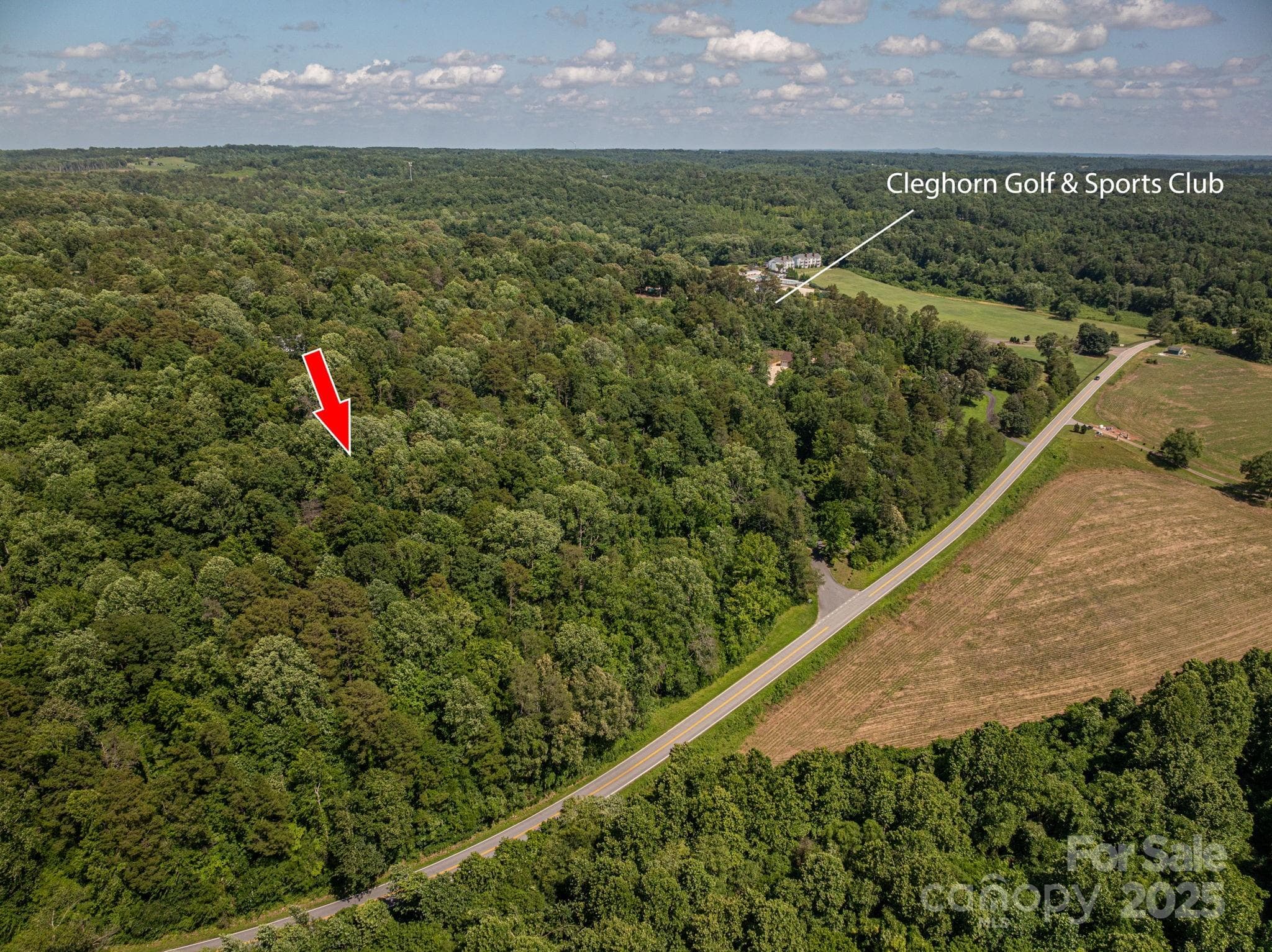 Lot at Lot 165 Plantation Drive, Rutherfordton, photo 3 of 18
