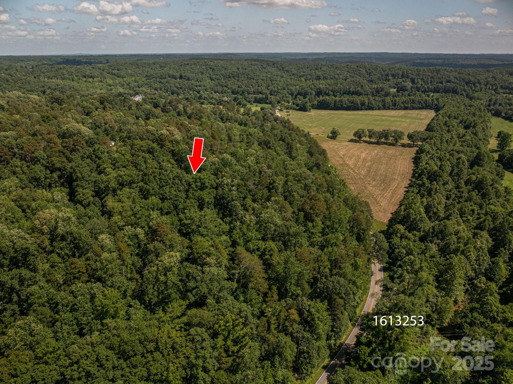 Lot at Lot 165 Plantation Drive, Rutherfordton, photo 4 of 18