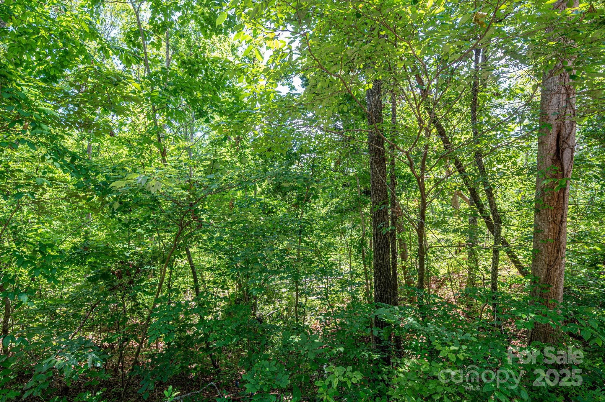 Lot at Lot 132 Plantation Drive, Rutherfordton, photo 3 of 17